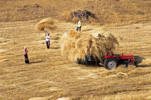 Day 21 + 22 016_edited