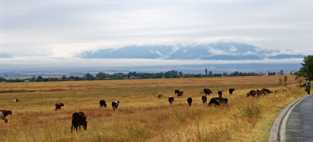 Day 29+30 Istanbul + Plovdiv 024_edited